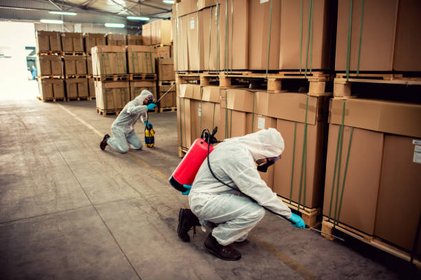 Pest Prevention Services in Prior Lake, MN