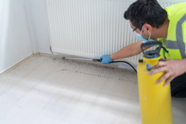 Best Best Pest Control Companies  in Prior Lake, MN